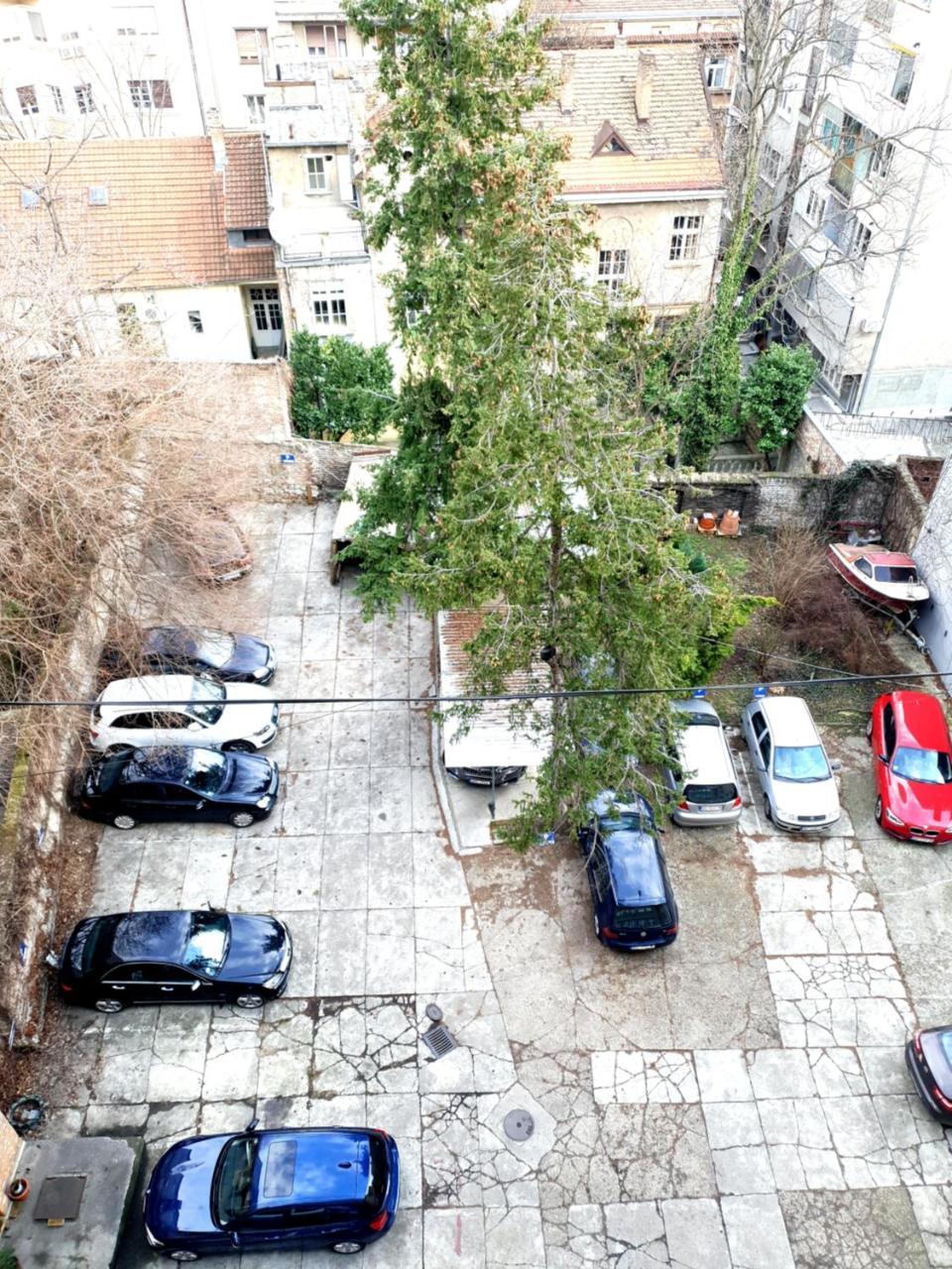 Dream Apt With Parking Belgrade Extérieur photo